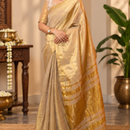 Golden Saree Elegance in a Warm Interior